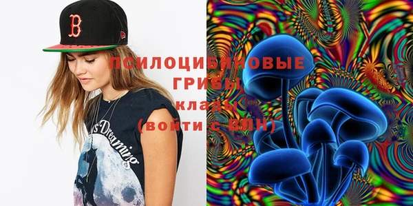 круглые Богданович