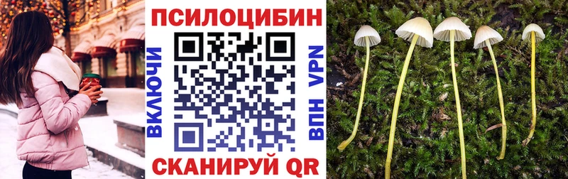 Галлюциногенные грибы мухоморы  как найти закладки  Новосокольники 